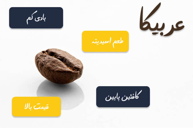 درباره قهوه عربیکا