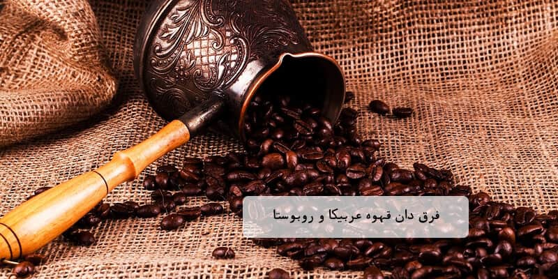 تفاوت دان قهوه عربیکا و روبوستا