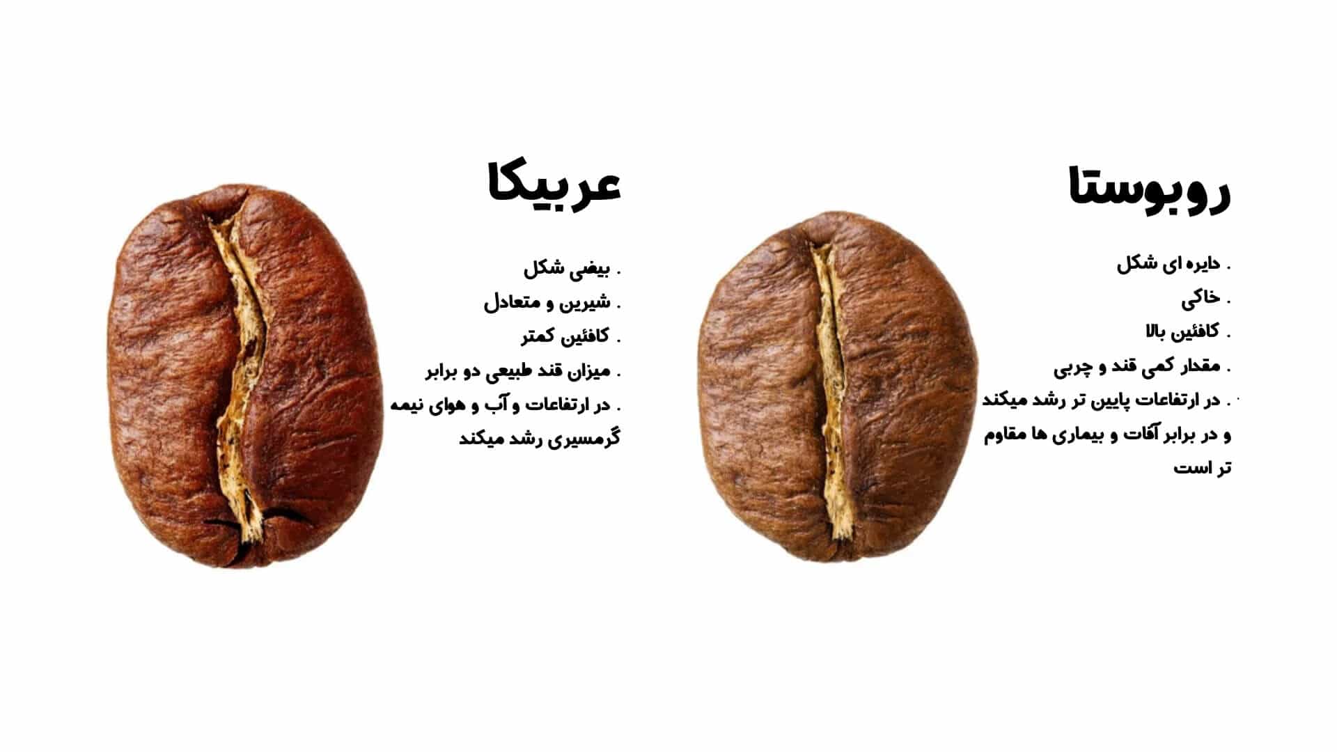 تفاوت عربیکا و روبوستا 